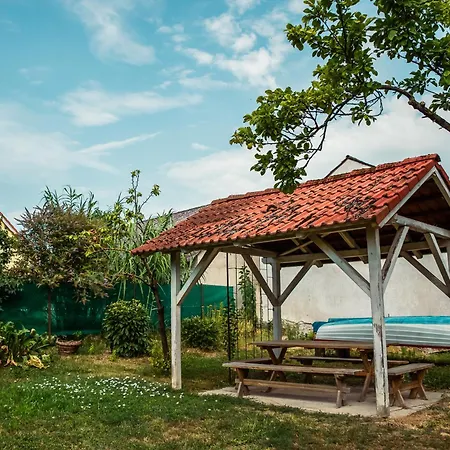 Füstifecske